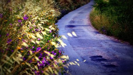 Numana - Riviera del Conero - Marche - Italy