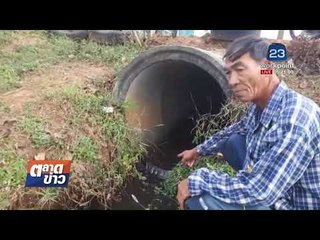 มดสร้างเมือง ร้องประปาปล่อยน้ำดิบเข้าท่วมไร่อ้อยชาวบ้าน  l ข่าวเวิร์คพอยท์ (เช้า) l 12 ม.ค.61