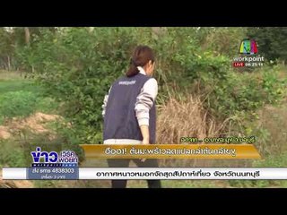 ฮือฮา! ต้นมะพร้าวสุดแปลกลำต้นคล้ายงู lข่าวเวิร์คพอยท์| 15 ม.ค. 61