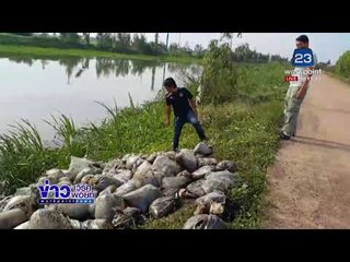 ชาวบ้านผวา! พบถุงเลือดสัตว์ถูกทิ้งข้างถนนกว่า 100 ถุง | ข่าวเวิร์คพอยท์ | 16 ม.ค. 61