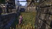 Elder Scrolls Online ESO Wood Elf Templar Thief 2017 12 19 01 32 27 140