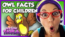 Kids Learning Animals | Owl Facts for Children | Learn to Identify Colors on Tea Time with Tayla