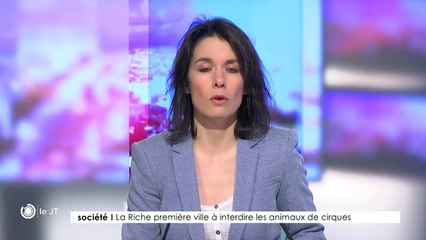 SOCIÉTÉ/ La Riche première ville à interdire les animaux de cirques - 16/03/2018