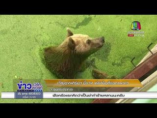 เจ้าของฟาร์มฯ ชี้แจงหลังมือดีแฉภาพฉาว จ.สมุทรปราการ l ข่าวเวิร์คพอยท์ l 31 ม.ค. 61