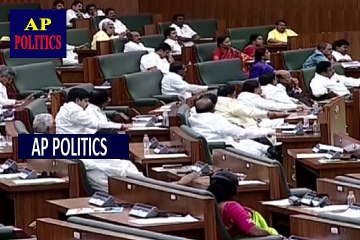 CM Chandra Babu Naidu Satirical Comments on Pawan Kalyan in AP Assembly at Amaravati - AP Politics1