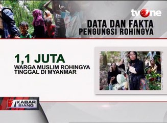 Data dan Fakta Pengungsi Rohingya