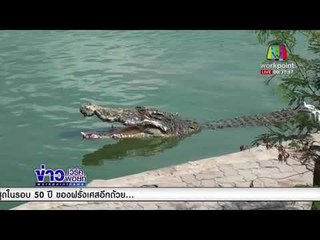 เจ้าของฟาร์มจระเข้ เตรียมฟ้องกลับ เพจแฉ ดูแลสัตว์ไม่ดี  |ข่าวเวิร์คพอยท์ (ดึก) | 30 ม.ค. 61