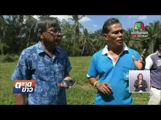 มดสร้างเมือง  ตอน ชาวบ้านผวา พบน้ำเน่าเสียทำปลาตาย    l ข่าวเวิร์คพอยท์ l 12 ก.พ. 61 (เช้า)
