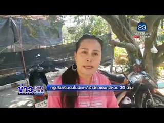 ครูปรีชายืนยันไม่มีเซฟเฮ้าส์ติวเข้มคดีหวย 30 ล้าน l ข่าวเวิร์คพอยท์ l 14 ก.พ. 61