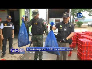 จับผัวเมียขนงูเห่ากว่า 1,900 ตัว เตรียมส่งข้ามโขง |ข่าวเวิร์คพอยท์| 24 ก.พ. 61