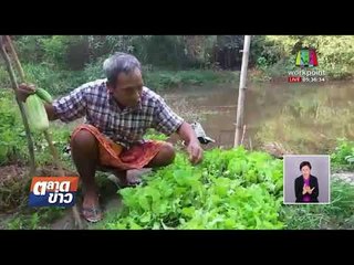 ลุงพิการตาบอด ปลูกผักสวนครัวขายเลี้ยงชีพ l ข่าวเวิร์คพอยท์ l 20 ก.พ.61