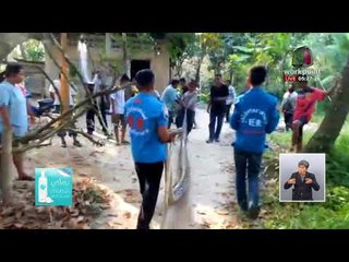 ผวา! พบงูเหลือมยักษ์ยาว 6 เมตร หนัก100 กก. l ข่าวเวิร์คพอยท์ l 16 ก.พ.61