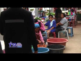 แก๊งลักเด็กอาละวาด ใช้แบงก์ 20 ลวงขึ้นรถ l ข่าวเวิร์คพอยท์ l 2 มี.ค.61