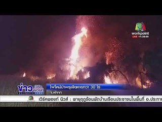 ไฟไหม้ป่าพรุเสียหายกว่า 30 ไร่  l ข่าวเวิร์คพอยท์ l 12 มี.ค. 61