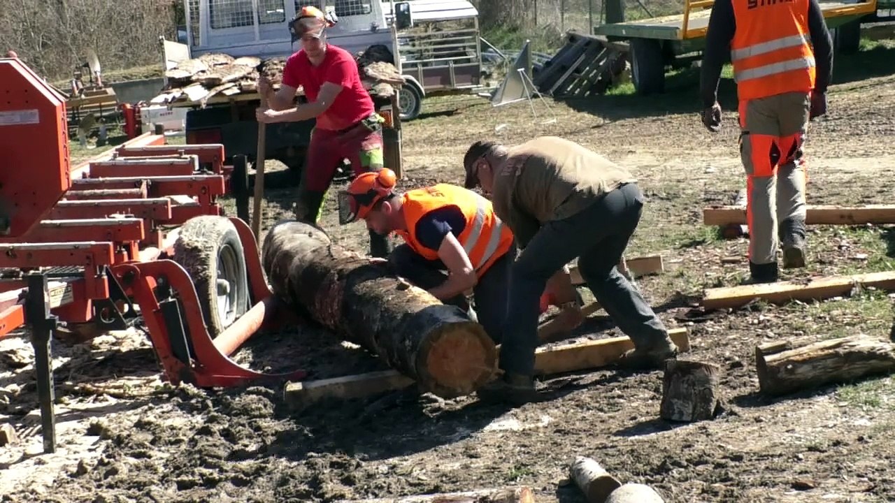 Alpes de Haute Provence : au lycée Carmejane on se forme au travail de Forestier