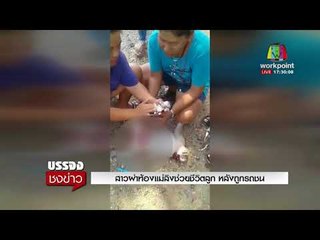 สาวผ่าท้องแม่ลิงช่วยชีวิตลูก หลังถูกรถชน   [ บรรจงชงข่าว  5 มี.ต.61 ]