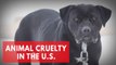 Animal cruelty in the U.S. - Best and worst states for animal protection laws