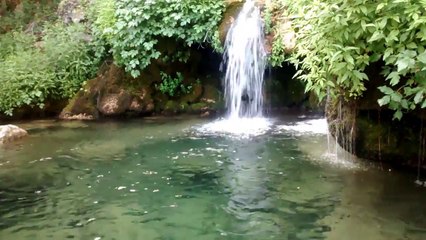 arroyos y pajaros - relax -