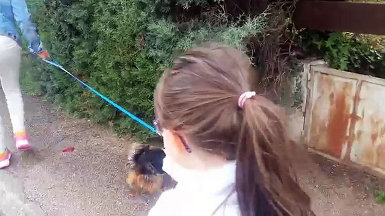 Inès baby reborn ! ***