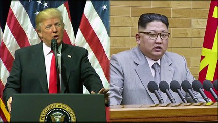 트럼프 "김정은 5월 내 만날 것"...美 범정부 준비 착수 / YTN