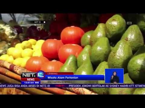 Wisata Alam Pertanian Organik - NET12