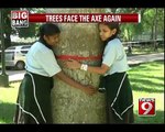 Trees cut for beautification of mall - NEWS9