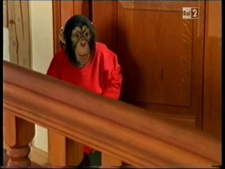 Il nostro amico Charly 16x06 - Tutti sotto lo stesso tetto (1 parte)