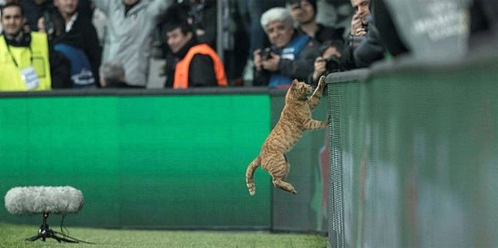 Beşiktaş, Bayern Münih Maçında Sahaya Giren Tekir'i Arıyor