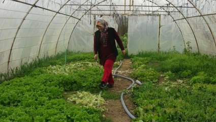 Eşine İnat Lokanta Açan Yaşlı Kadın, Şimdi 5 Kişiye İş İmkanı Sağlıyor