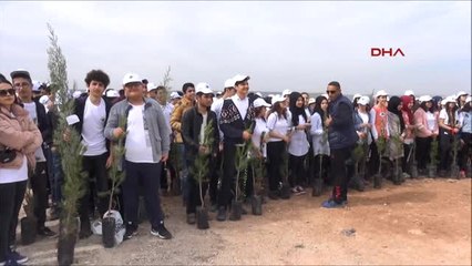Mardin Midyat'ta Afrin Şehitleri İçin 1000 Adet Fidan Dikildi