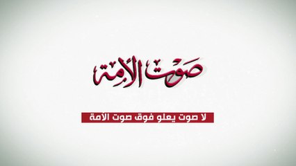 أبناء الجالية المصرية بدبى يرددون نشيد الصاعقة "قالوا إيه"