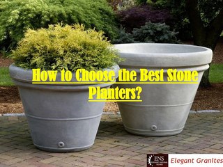 How to Choose the Best Stone Planters?