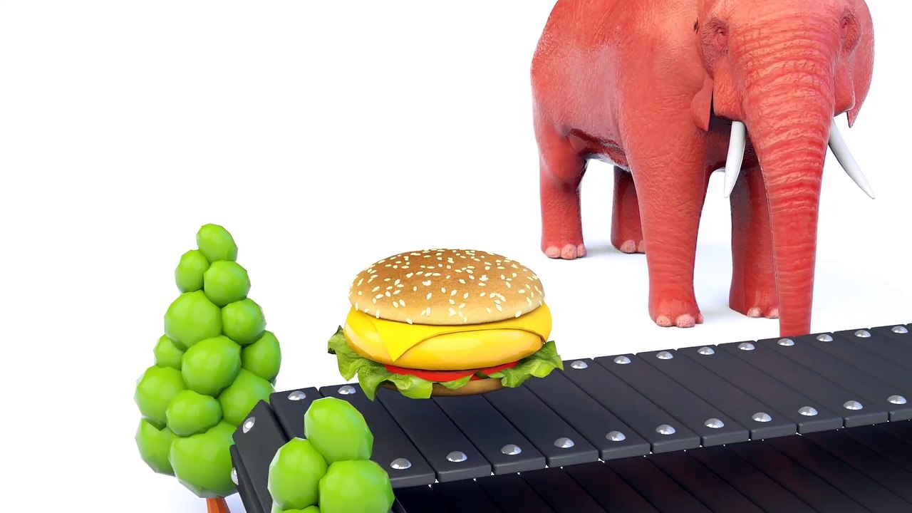 Learn Colors With Elephant Eating McDonald's Hamburger for Kids