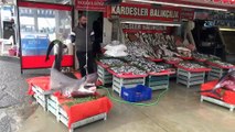 Silivri açıklarında camgöz cinsi köpek balığı yakalandı