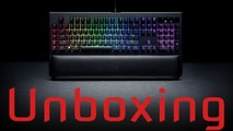 Unboxing: Razer Blackwidow Chroma V2 [DE | 4K]