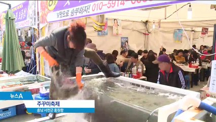 남녘엔 매화, 서해안엔 주꾸미…“봄이 왔어요”