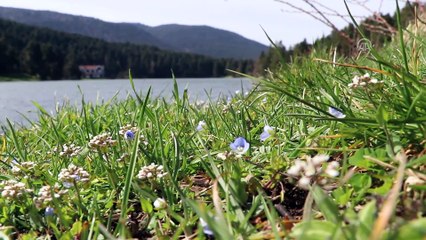 Gölcük, tatilcilerin ilgi odağı oldu - BOLU
