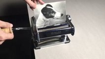 Ce que fait cet artiste est dingue : Quadrupler une photo de chien avec une machine à pâtes