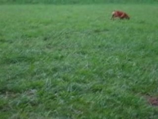 Matte Painting after effect