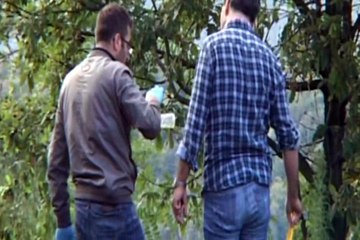 Yargıtay “Takım elbise ile iyi hal olmaz…” dedi ve…