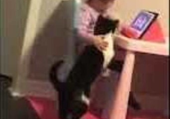 Little Girl Watches Cartoons With Feline Friend