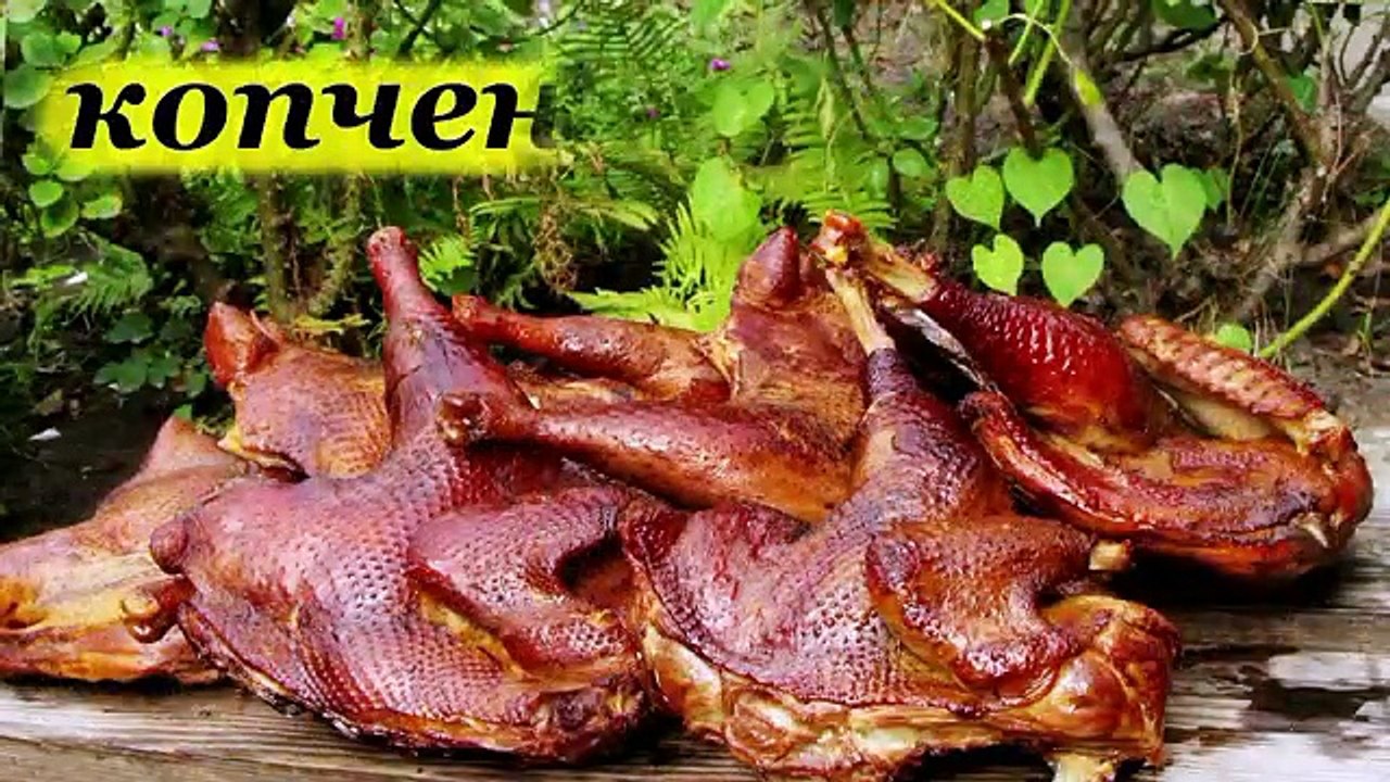 Рецепт копчения курицы и маринования в коптильне горячего копчения