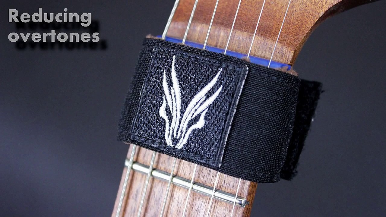 Hufschmid Guitars String Muter Dampener Demo !