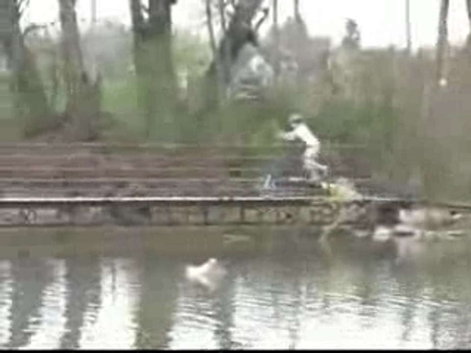 Le Vélo Tapis Roulant