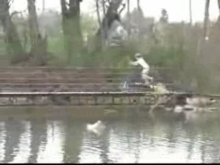 Le Vélo Tapis Roulant