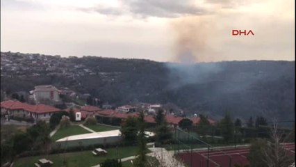 Descargar video: Sarıyer'de Ormanlık Alanda Yangın