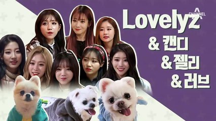 러블리즈 투어★ 개나 사람이나 둠칫둠칫♬ 무아지경♪