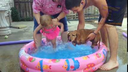 FUN CHALLENGE- Try NOT to laugh - Funny & cute dogs and kids