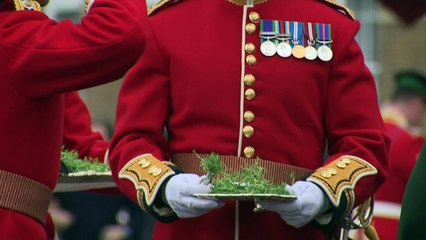 Heavily pregnant Kate and William mark St Patrick's Day