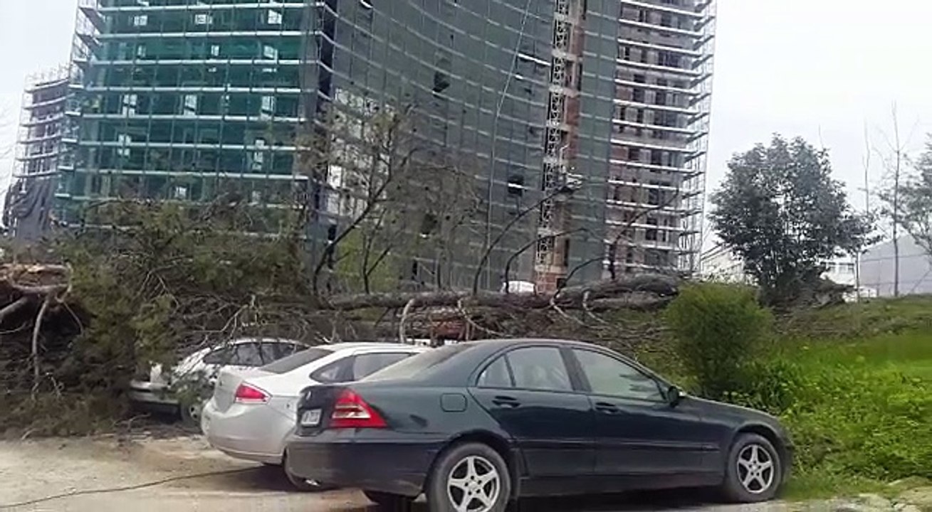 video-1521298966